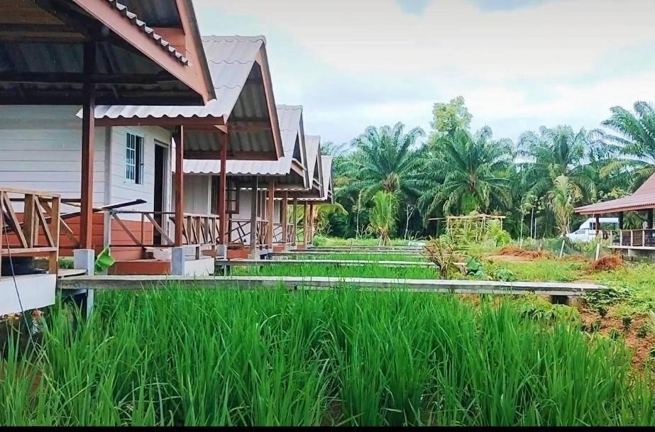 ปารมีฟาร์มสเตย์ Takuapa Exteriör bild
